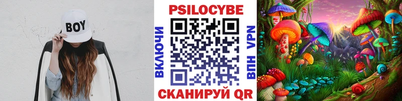 Купить  Володарск  Псилоцибиновые грибы Magic Shrooms 